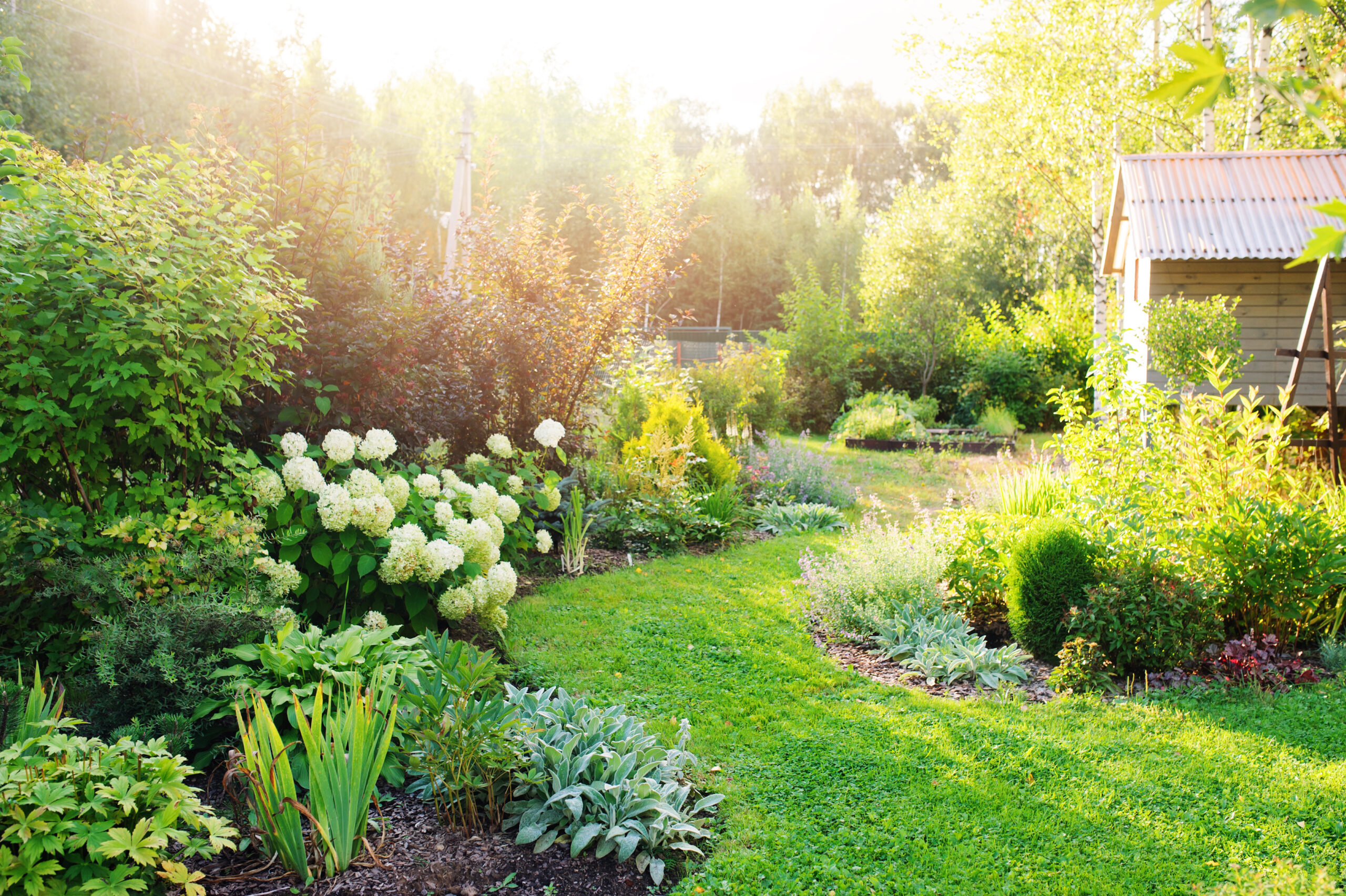 Garten_Startseite_Reddich-Galabau